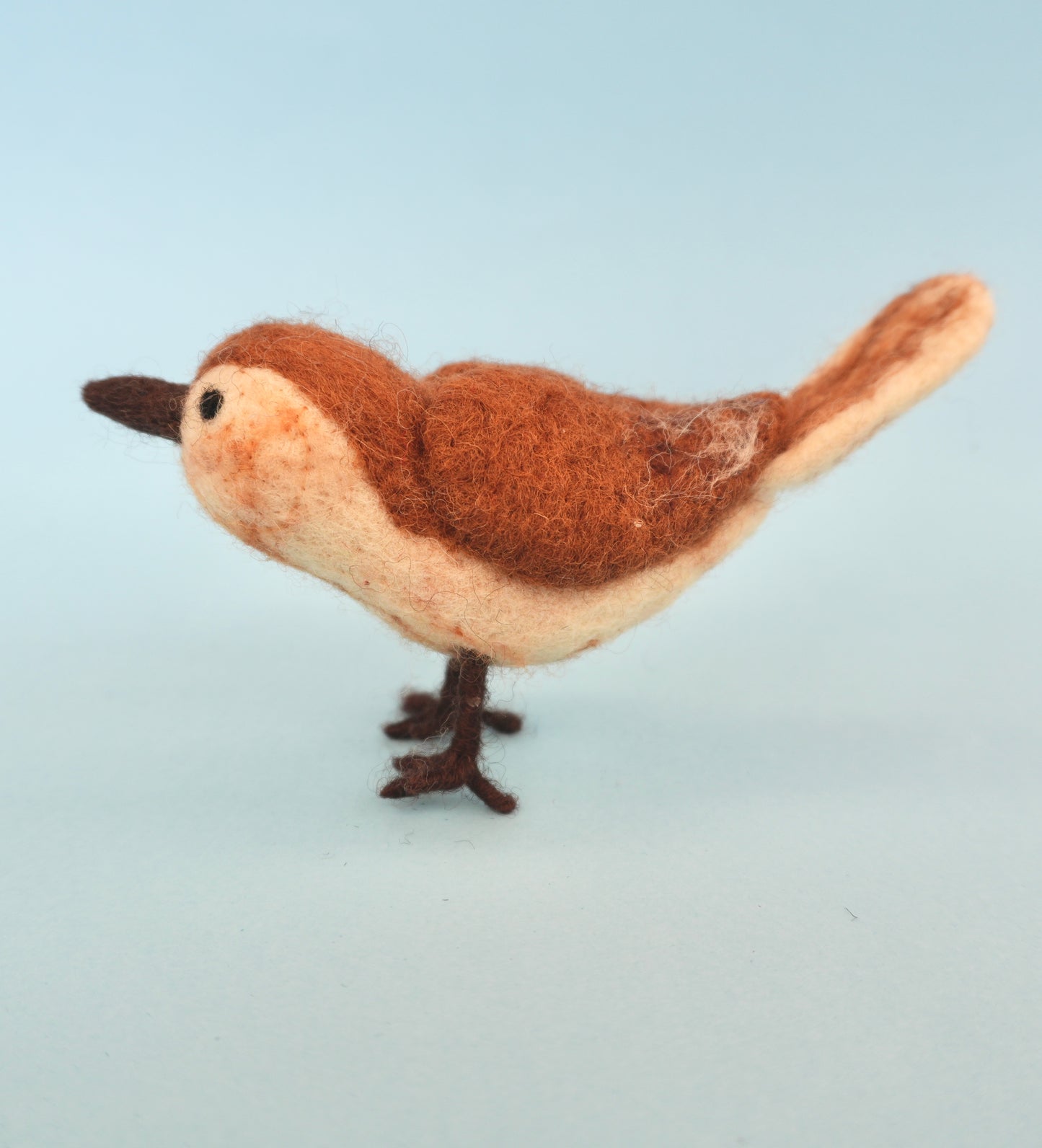 Felt Wren