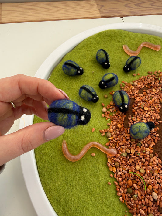 Felt beetle