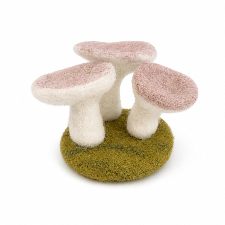 Felt Brown Oyster mushroom