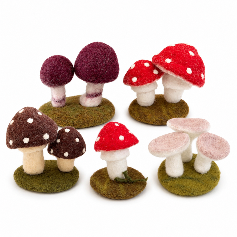 The felt mushroom full collection