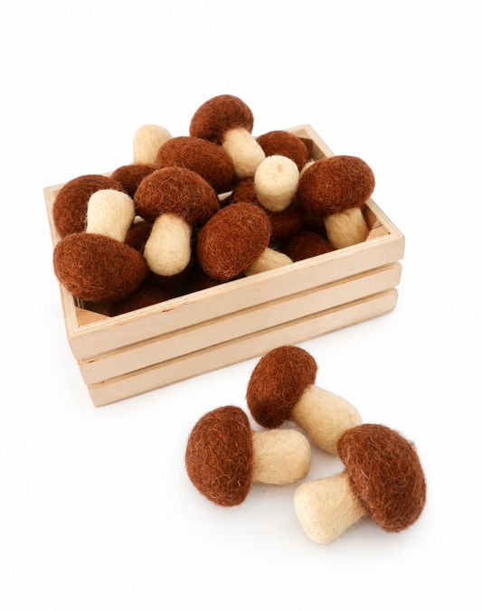 Felt Mushrooms set of 3